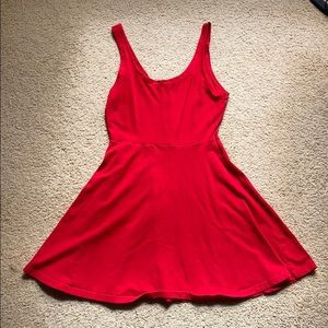 Red Express Skater Dress